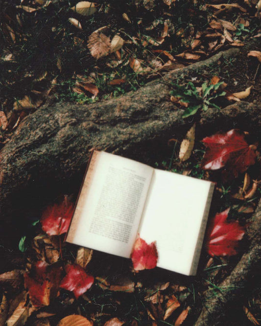 Travel Journaling for the Mindful
