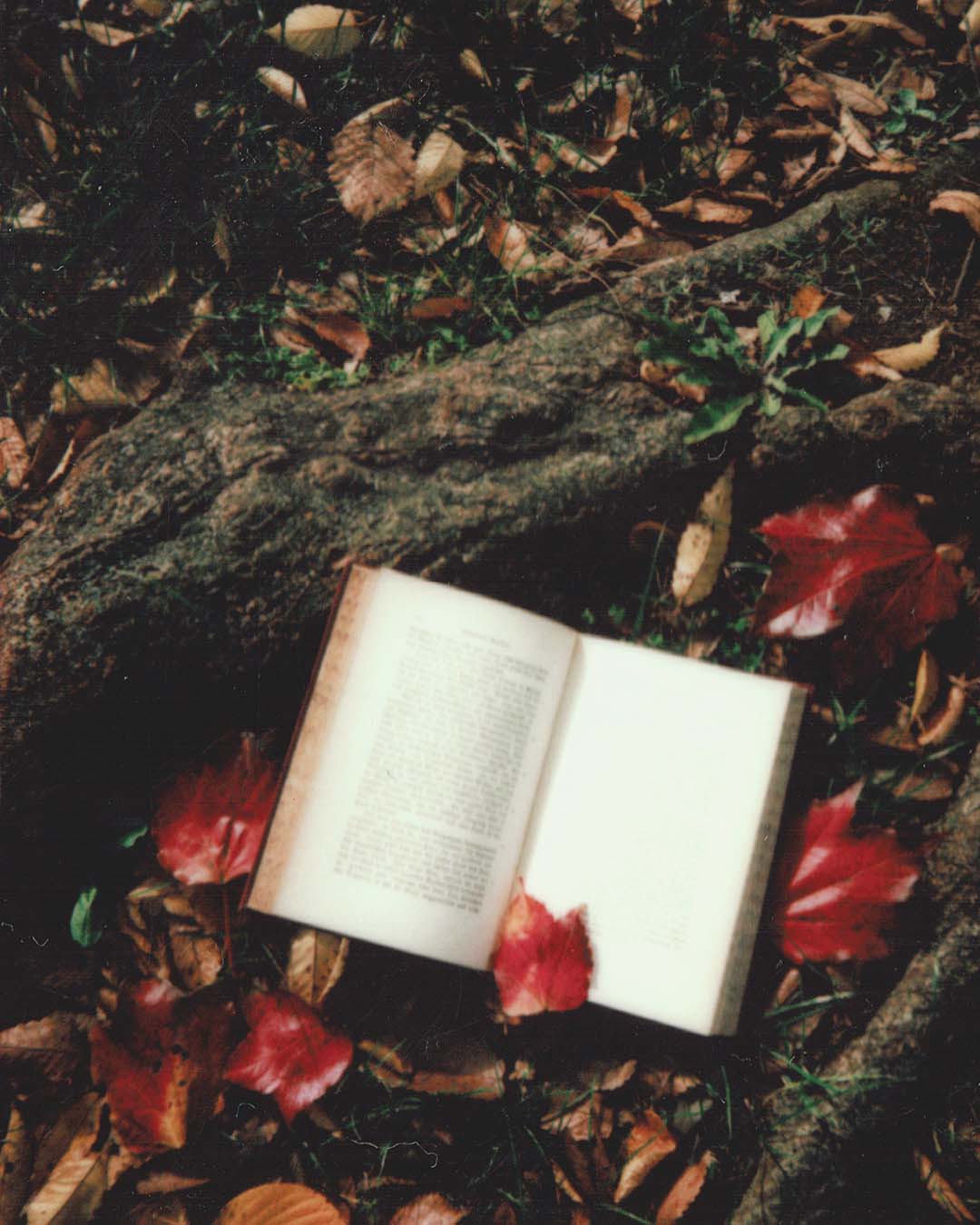 Travel Journaling for the Mindful